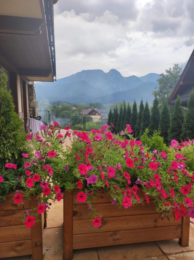 Harnasiowa Izba Ski - Polana Szymoszkowa Ski Resort Zakopane Buitenkant foto